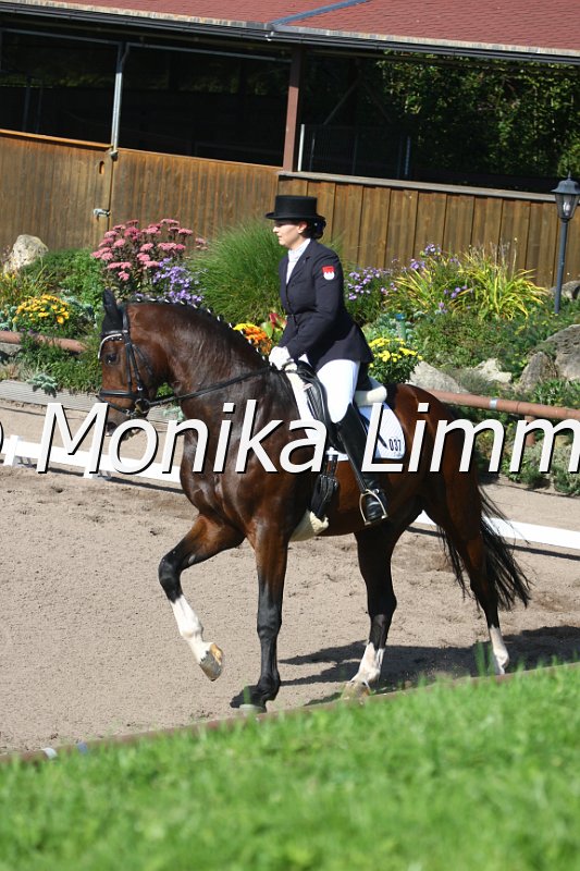 009M4529_Don Argentinus_Dressur S Nachwuchs.JPG